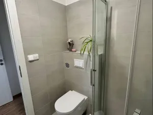 Pronájem bytu 1+kk, Zlín, Hřebíčkova, 20 m2