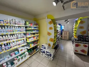 Prodej obchodního prostoru, Javorník, Míru, 370 m2