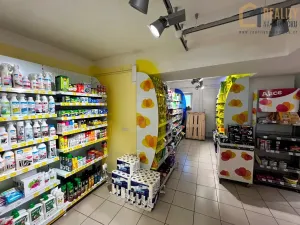 Prodej vícegeneračního domu, Javorník, Míru, 370 m2