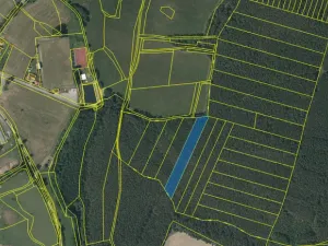 Prodej lesa, Chlumany, 4406 m2