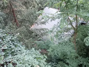Prodej chaty, Kamenný Přívoz - Hostěradice, 50 m2