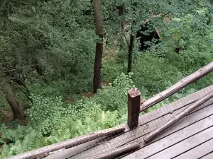 Prodej chaty, Kamenný Přívoz - Hostěradice, 50 m2