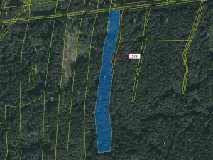 Dražba lesa, Nová Bystřice, 8581 m2