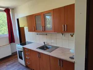 Prodej bytu 2+kk, Mělnické Vtelno, Chorušická, 50 m2