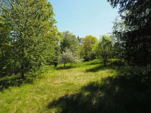Prodej chaty, Pozořice, Oulehla, 34 m2