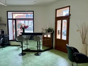 Prodej činžovního domu, Příbram, náměstí J. A. Alise, 487 m2