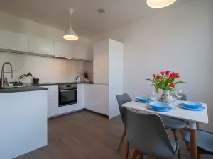 Pronájem bytu 2+kk, Praha - Vinohrady, Perucká, 42 m2