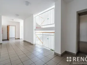 Prodej bytu 1+kk, Brno, Tomečkova, 46 m2