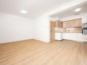 Pronájem bytu 1+kk, Brno, Jílkova, 38 m2