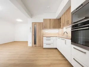 Pronájem bytu 1+kk, Brno, Jílkova, 38 m2