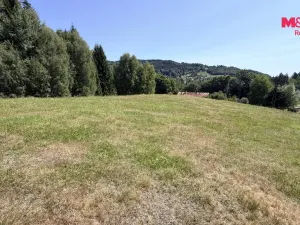 Prodej pozemku pro bydlení, Tanvald - Žďár, 2000 m2