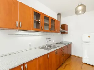 Pronájem bytu 1+kk, Praha - Podolí, Dvorecká, 55 m2