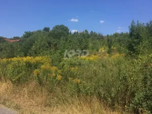 Prodej pozemku pro bydlení, Kuks, 2780 m2