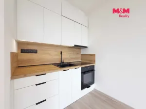 Pronájem bytu 1+kk, Bohumín - Nový Bohumín, 30 m2