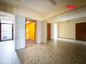 Pronájem bytu 1+kk, Bohumín - Nový Bohumín, 30 m2