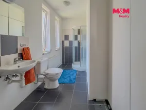 Prodej rodinného domu, Litoměřice - Předměstí, Na Vinici, 200 m2
