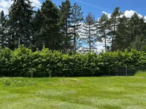 Prodej rodinného domu, Vojkov, 171 m2