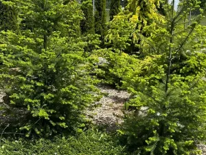 Prodej rodinného domu, Vojkov, 171 m2