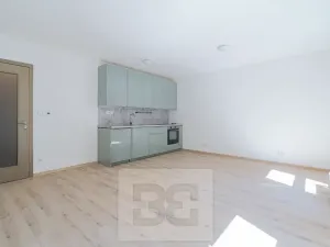 Pronájem bytu 1+kk, Liberec, Vítězná, 37 m2