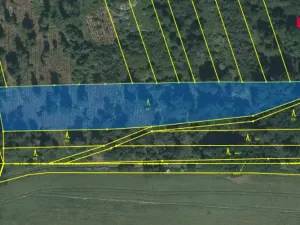 Prodej lesa, Slabčice - Písecká Smoleč, 48910 m2