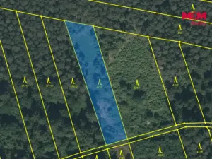 Prodej lesa, Slabčice - Písecká Smoleč, 48910 m2