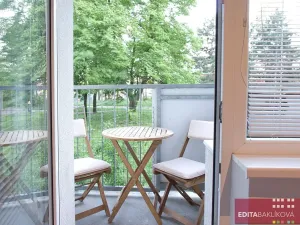 Pronájem bytu 3+1, Olomouc, Pionýrská, 60 m2
