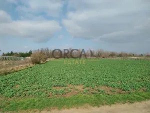 Prodej pozemku pro bydlení, Vranovice, 2817 m2