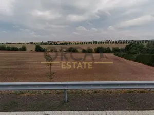Prodej pole, Kozlany, 1091 m2