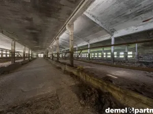 Pronájem zemědělského objektu, Korouhev, 1400 m2