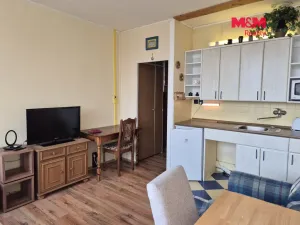 Pronájem bytu 1+kk, Ústí nad Labem - Ústí nad Labem-centrum, Hilarova, 21 m2