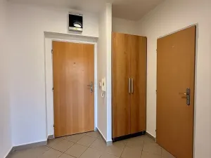 Pronájem bytu 1+kk, Brno, Vavřinecká, 41 m2