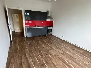 Pronájem bytu 2+kk, Praha - Žižkov, Hartigova, 54 m2