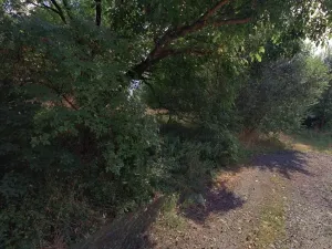 Dražba louky, Železný Brod, 377 m2
