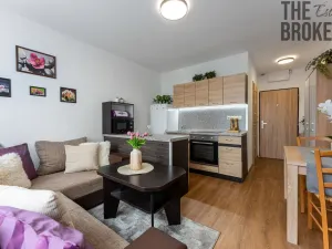 Prodej bytu 1+1, Pelhřimov, Dolnokubínská, 37 m2