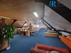 Prodej obchodního prostoru, Horní Moštěnice, 9. května, 1200 m2