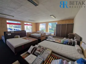 Prodej obchodního prostoru, Horní Moštěnice, 9. května, 1200 m2