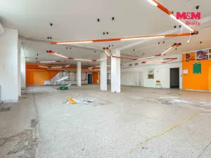 Prodej obchodního prostoru, Český Těšín, Slezská, 900 m2