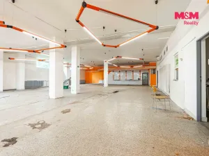Prodej obchodního prostoru, Český Těšín, Slezská, 900 m2