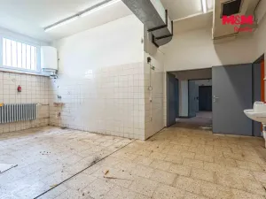 Prodej obchodního prostoru, Český Těšín, Slezská, 900 m2