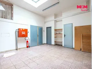 Prodej obchodního prostoru, Český Těšín, Slezská, 900 m2