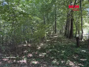 Prodej pozemku pro bydlení, Řepiště, 3402 m2