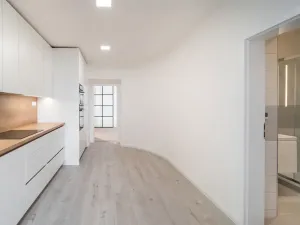 Prodej bytu 1+1, Brno, Cejl, 50 m2