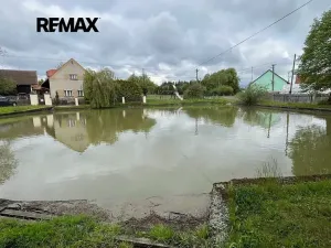 Prodej pozemku pro bydlení, Chocenice, 4491 m2