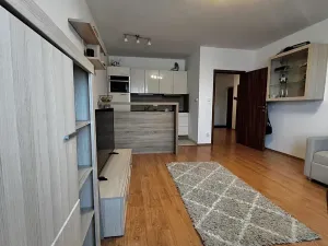 Pronájem bytu 2+kk, Karlovy Vary, Spálená, 64 m2