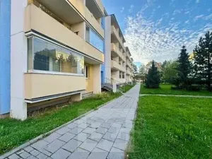 Pronájem bytu 1+1, Mokrá-Horákov, 38 m2