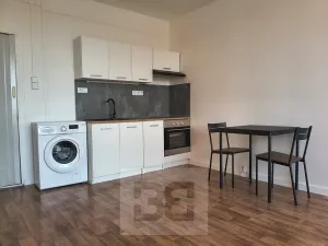 Pronájem bytu 1+kk, Ostrava, Závoří, 33 m2