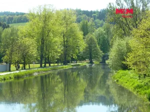 Prodej louky, Náchod, 13200 m2