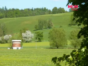 Prodej louky, Náchod, 13200 m2