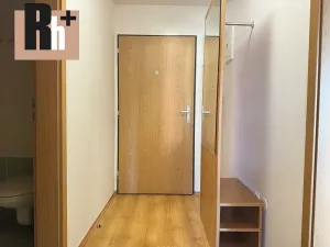 Pronájem bytu 2+kk, Ostrava, U Soudu, 54 m2