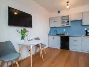 Pronájem bytu 1+kk, Praha, Perucká, 27 m2